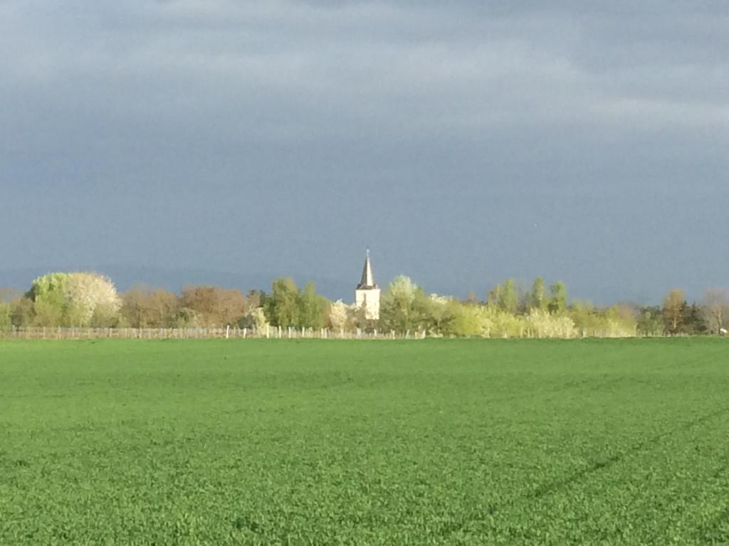 Alte Heimat Apartment Schwegenheim Bagian luar foto