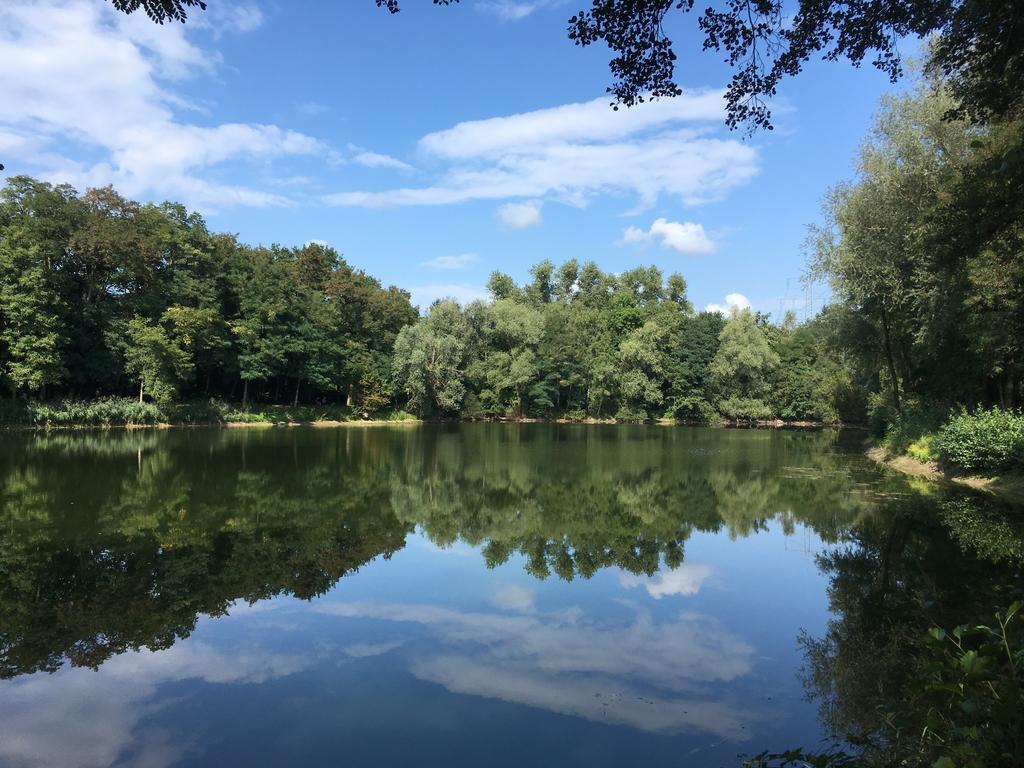 Alte Heimat Apartment Schwegenheim Bagian luar foto